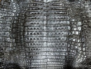 Metallic Black Caiman