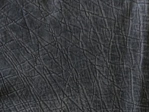 Grey safari Elephant