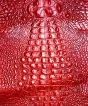 Red Gator Print
